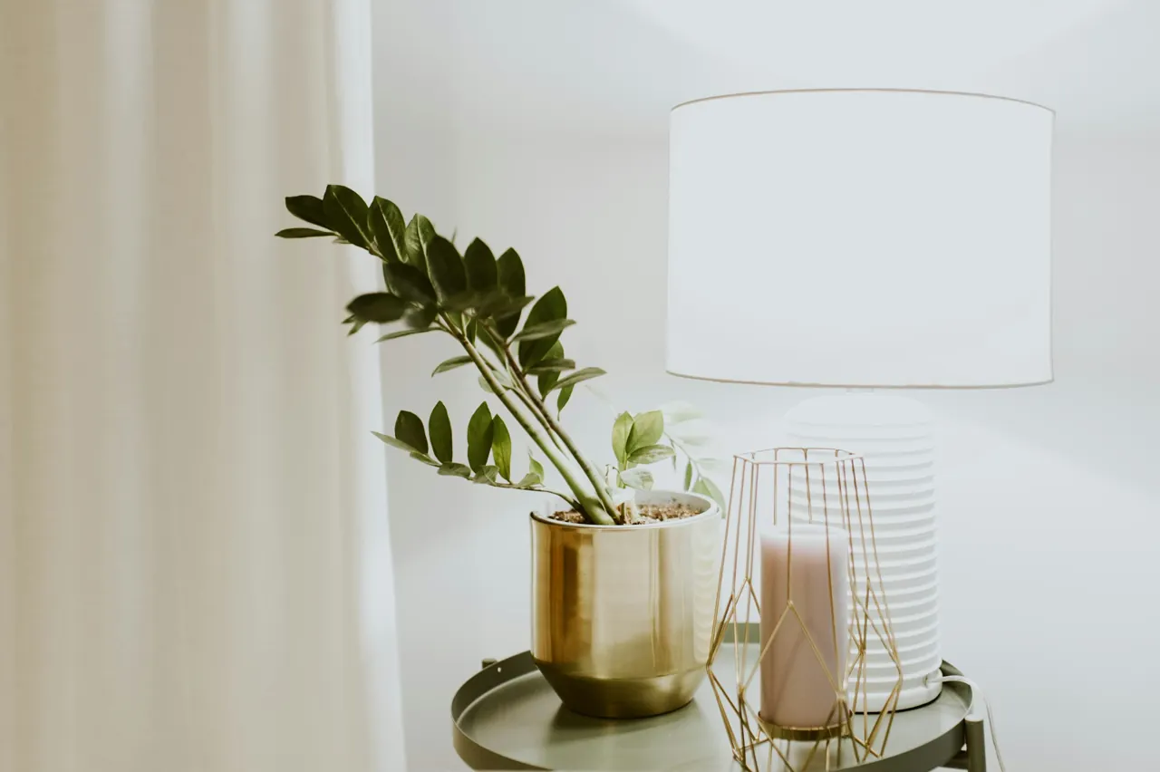 Table lamp and plants illustrating a quiet layer of light — editorial photograph